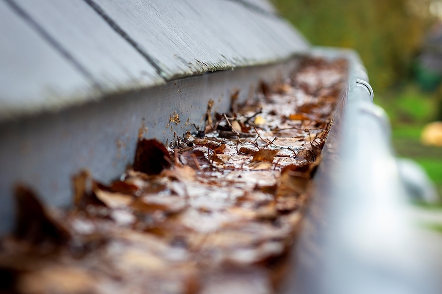 A Portrait Of A Roof Gutter Clogged By Many Fallen Autumn Leaves